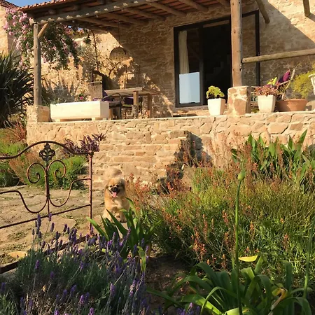 Appartamento Loft Curral - Quinta Ninho D'aguia Alcobaça
